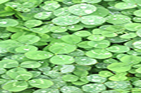 昆明醫(yī)科大學(xué)海源學(xué)院&mdash;&mdash;校園風(fēng)光