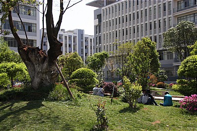 云南能源職業(yè)技術(shù)學(xué)院&mdash;&mdash;校園景光