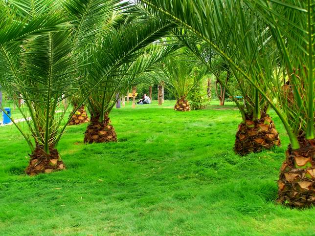 昆明工業(yè)職業(yè)技術學院&mdash;&mdash;美麗校園