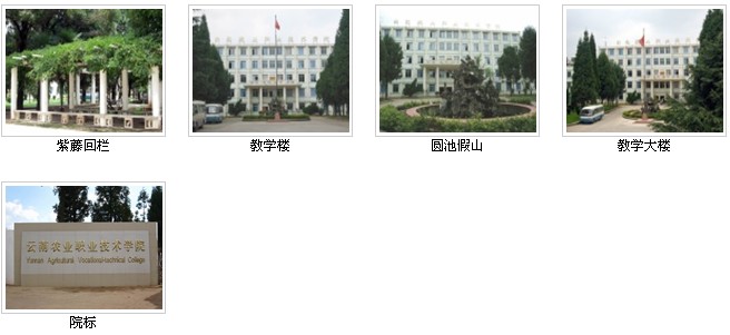 云南農(nóng)業(yè)職業(yè)技術(shù)學(xué)院&mdash;&mdash;校園風(fēng)光3