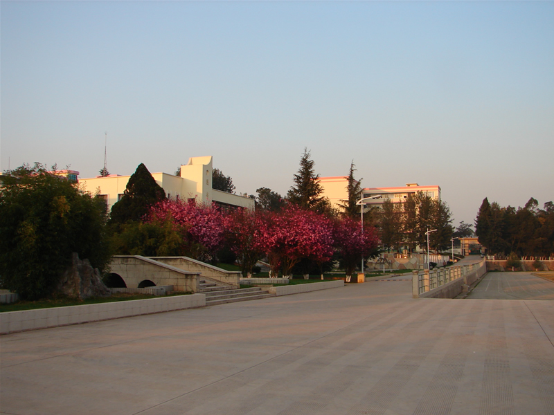 楚雄醫(yī)藥高等?？茖W(xué)校_校園風(fēng)光