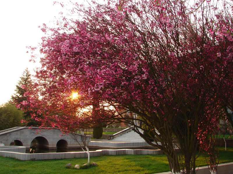 楚雄醫(yī)藥高等專科學(xué)校_校園風(fēng)光