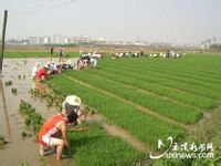 玉溪農(nóng)業(yè)職業(yè)技術學院環(huán)境設施