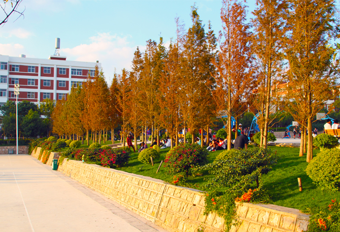 云南經(jīng)濟管理學院_秋日戀歌