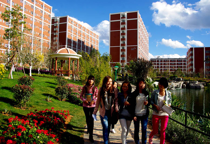 云南經(jīng)濟管理學院_盛開的青春