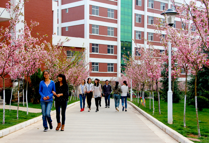 云南經(jīng)濟管理學院_安寧校區(qū)一角