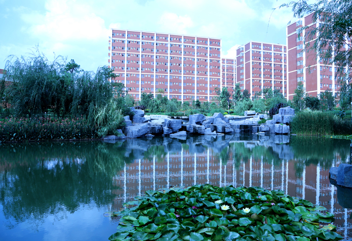 云南經(jīng)濟管理學院_中央水池