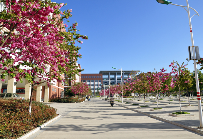 云南經(jīng)濟管理學院_春滿校園