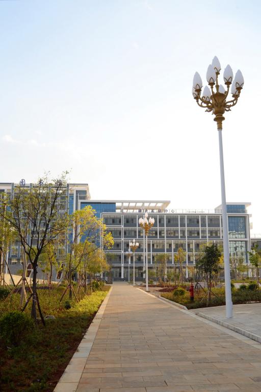 紅河衛(wèi)生職業(yè)學(xué)院&mdash;&mdash;校園小道