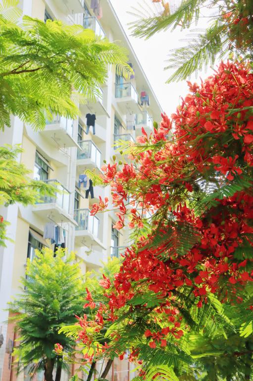 學(xué)生公寓樓